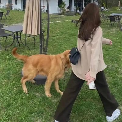 爱上笨男人